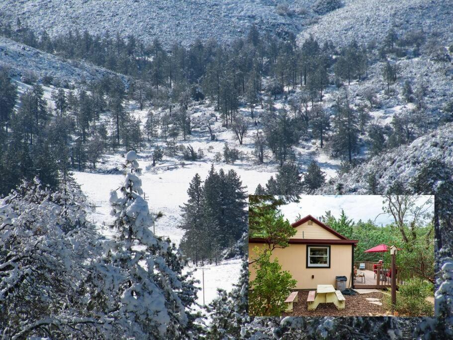 Historical Cabin In Julian Pet'S Okay! Exterior foto